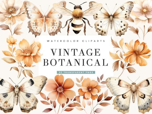 Download Watercolor Vintage Botanical Clipart - Botanical clipart Collection