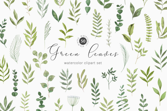 Download Watercolor Greenery Botanical Clipart - Botanical clipart Collection